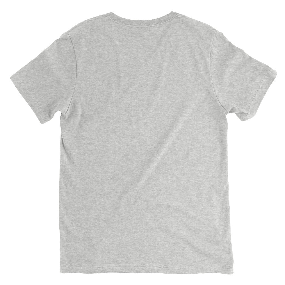 Light grey unisex classic v-neck t-shirt in soft cotton with short sleeves, back view.